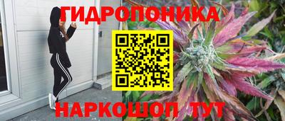 ПСИЛОЦИБИНОВЫЕ ГРИБЫ Жуковский