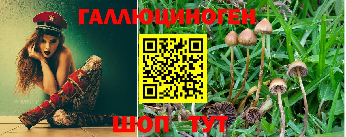 Галлюциногенные грибы прущие грибы Ливны